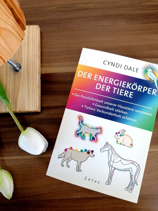 Energiearbeit – Bücher von Cyndi Dale